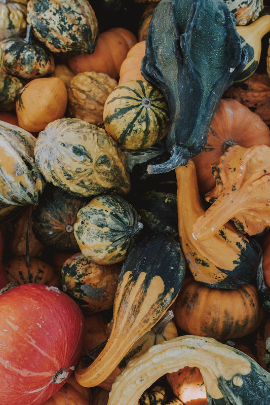 Pumpkin for Pets