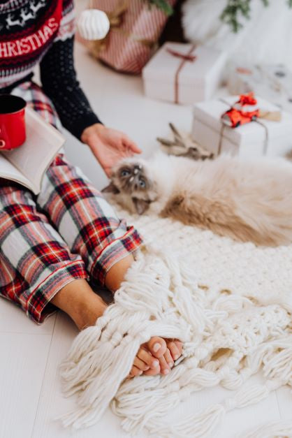 Holiday Pet Tips