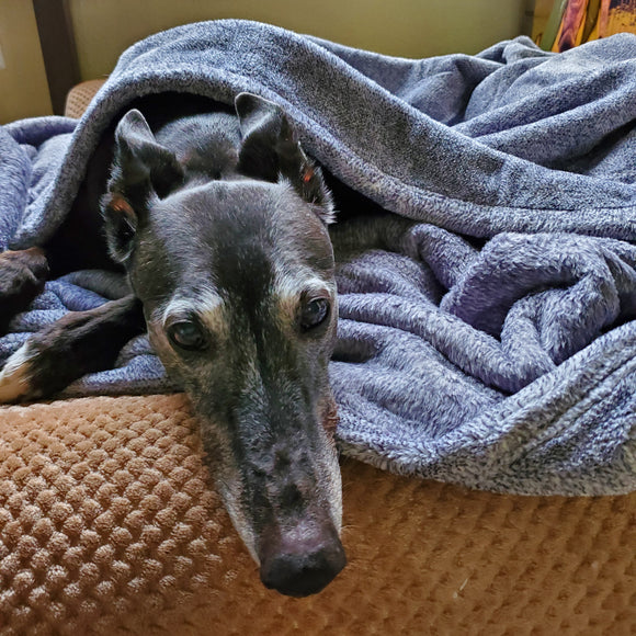 Winter 2022, Cozy Time!