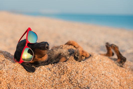2022 Summer Break (Aug 24-30)