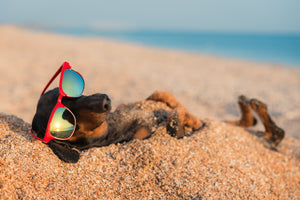 2022 Summer Break (Aug 24-30)