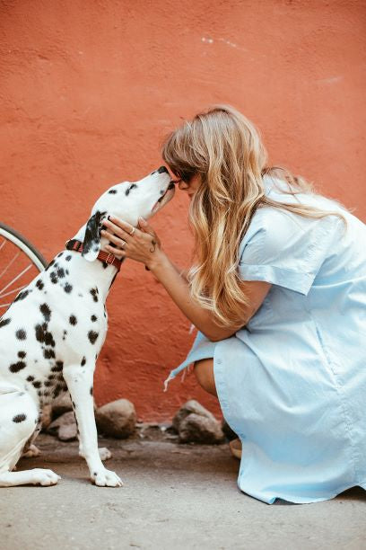 Why Pets Are So Important Right Now