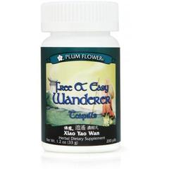 Understanding: Free & Easy Wanderer (Xiao Yao San)
