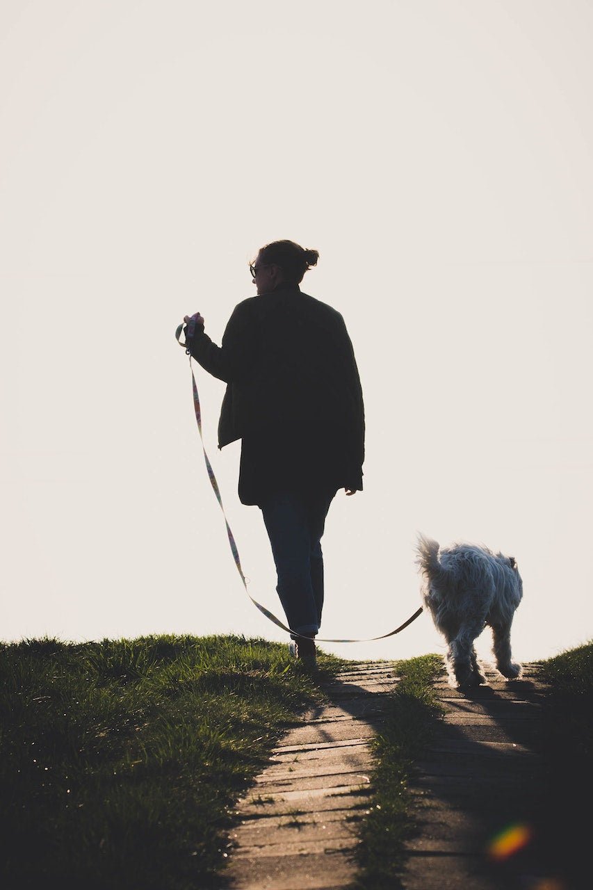 Efficacy of Natural Remedies for You and Your Pet