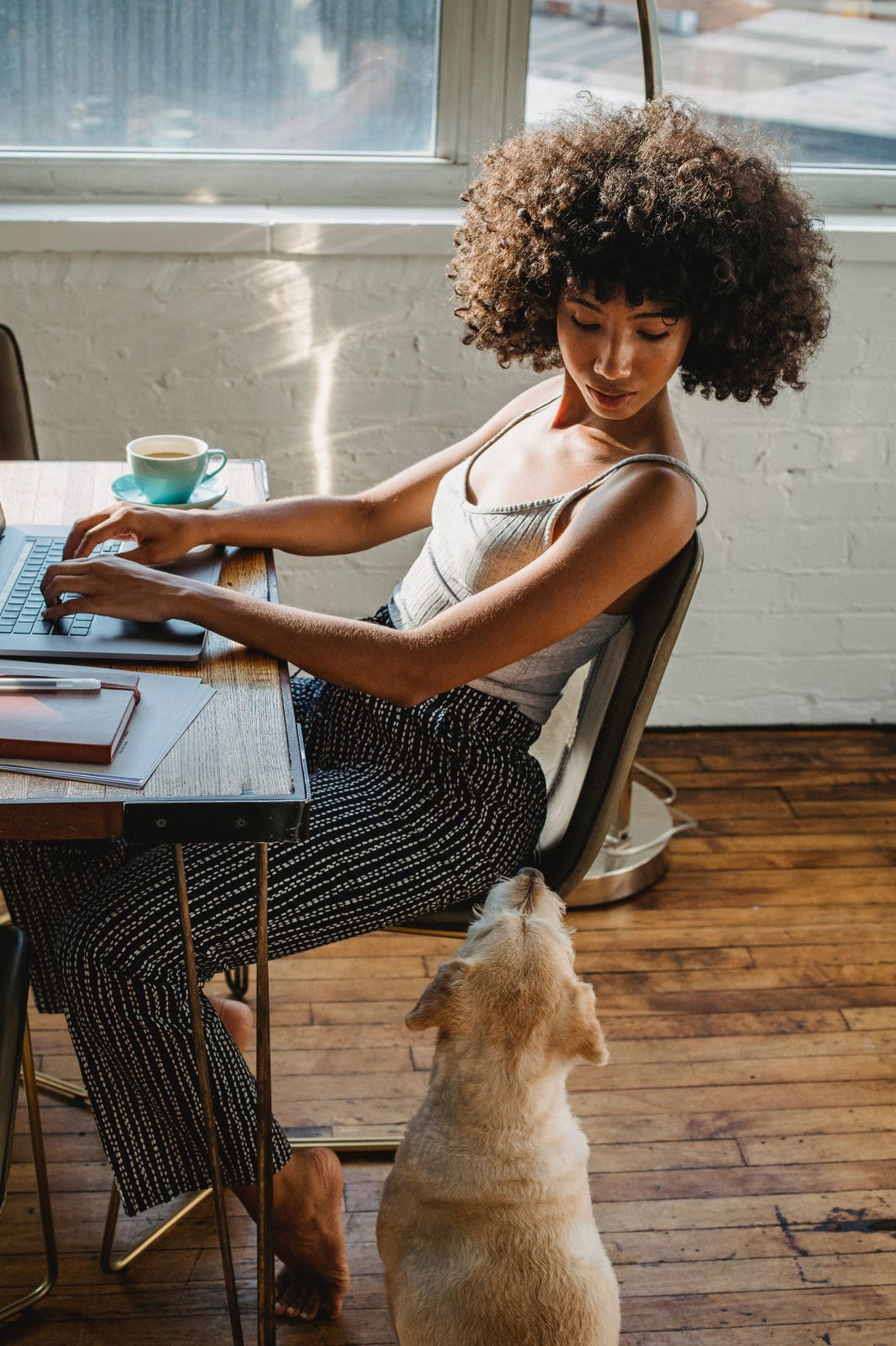 Take Your Dog to Work Day is June 25