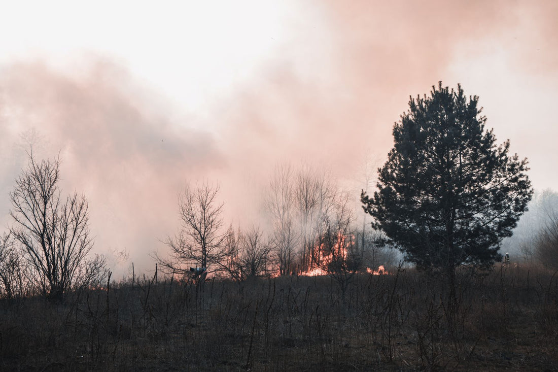 Shipping Delays due to Wildfires