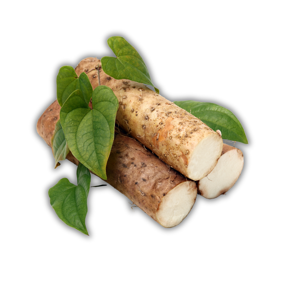 Yunnan Baiyao Capsules for Pets – Epsilon Acupuncture
